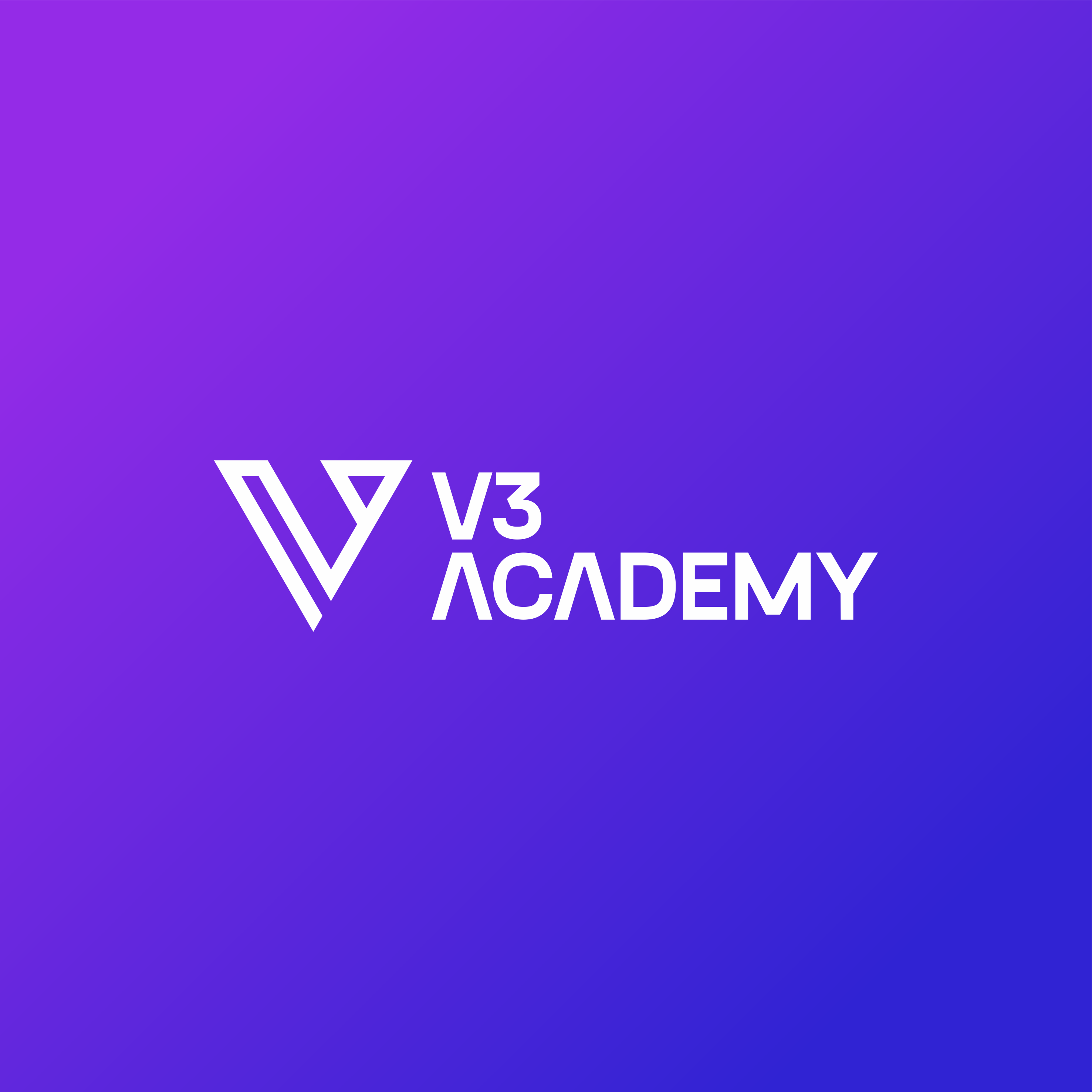 V3 Academy